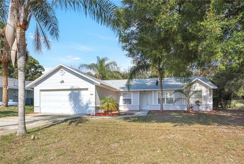 A home in DELTONA