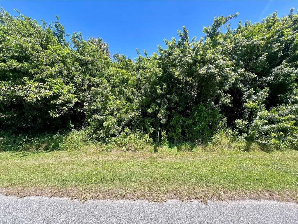 Photo of 48 Ramblewood Street, Port Charlotte, FL 33953 (MLS # C7507382)