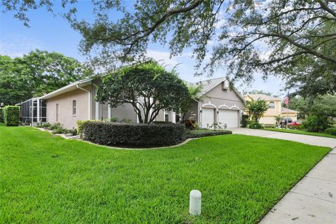 A home in ORLANDO