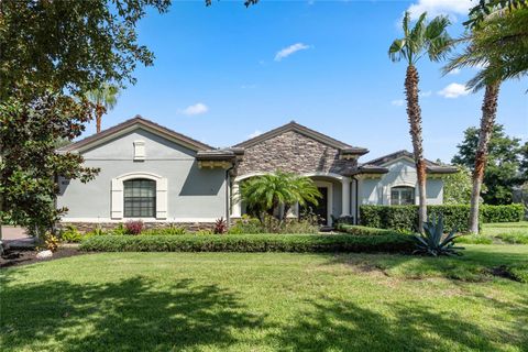 32619 VIEW HAVEN LANE SORRENTO FL 32776