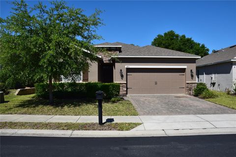 245 BRUNSWICK DRIVE DAVENPORT FL 33837