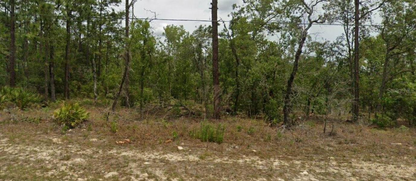 Build Your Dream Home or Investment property in Citrus Springs!
This 0.23-acre residential lot is perfectly situated on a paved road in one of Citrus Springs’ most desirable and fast-growing areas. Surrounded by beautiful, well-kept properties, this location offers both charm and investment potential. Enjoy the tranquility of a peaceful neighborhood while being just minutes from local amenities, shopping, dining, and outdoor recreation. With plenty of room to design your perfect home, this is a great opportunity to secure your spot in a welcoming community. Don’t miss it!
