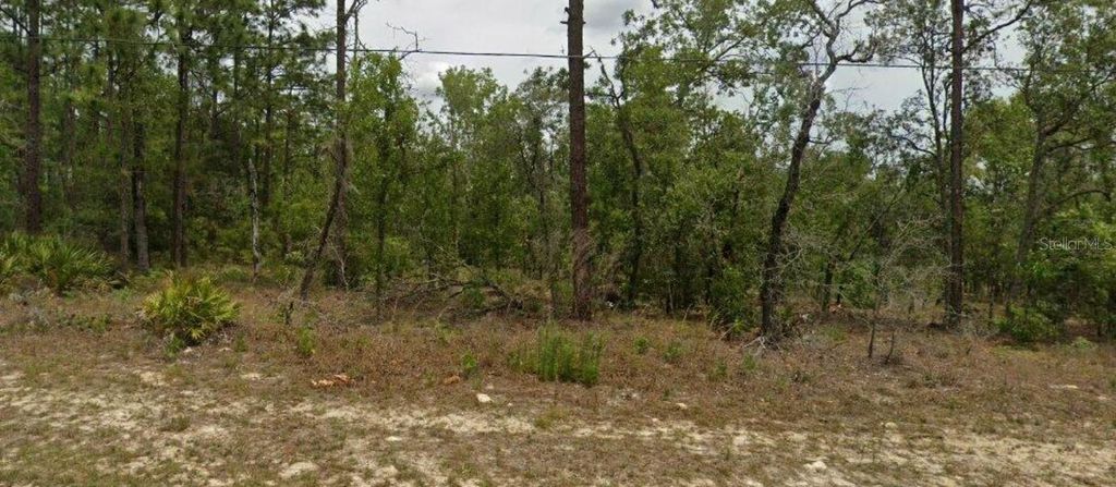 Photo of 6627 N Bedstrow Boulevard, Citrus Springs, FL 34434 (MLS # OM707469)