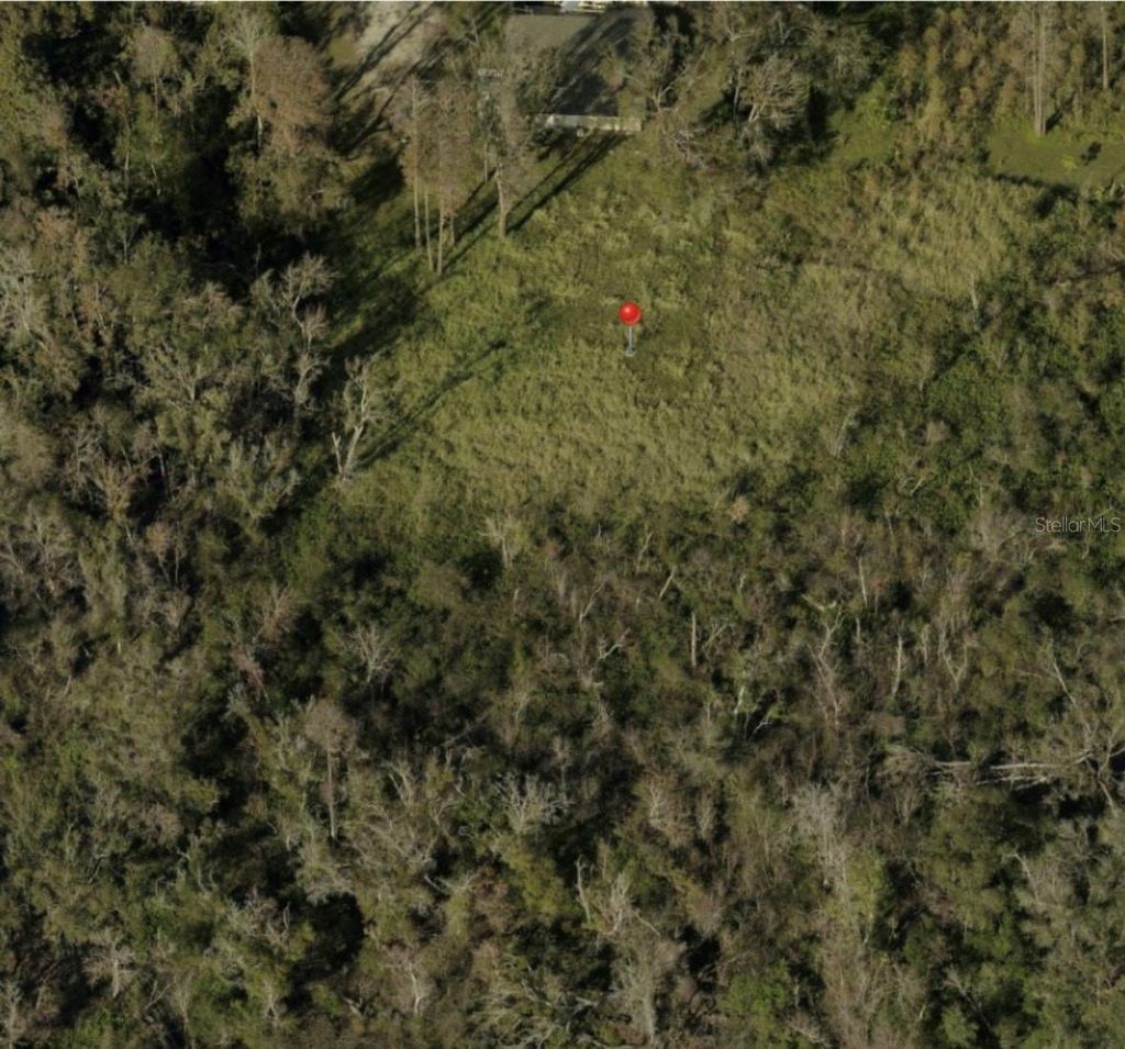 Photo of Blossom Avenue, Tampa, FL 33614 (MLS # O6335073)