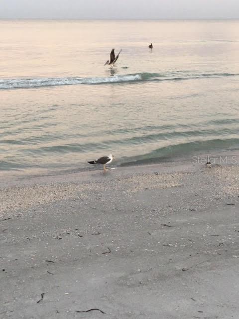 HARBOUR CLUB CONDO 3 - Residential