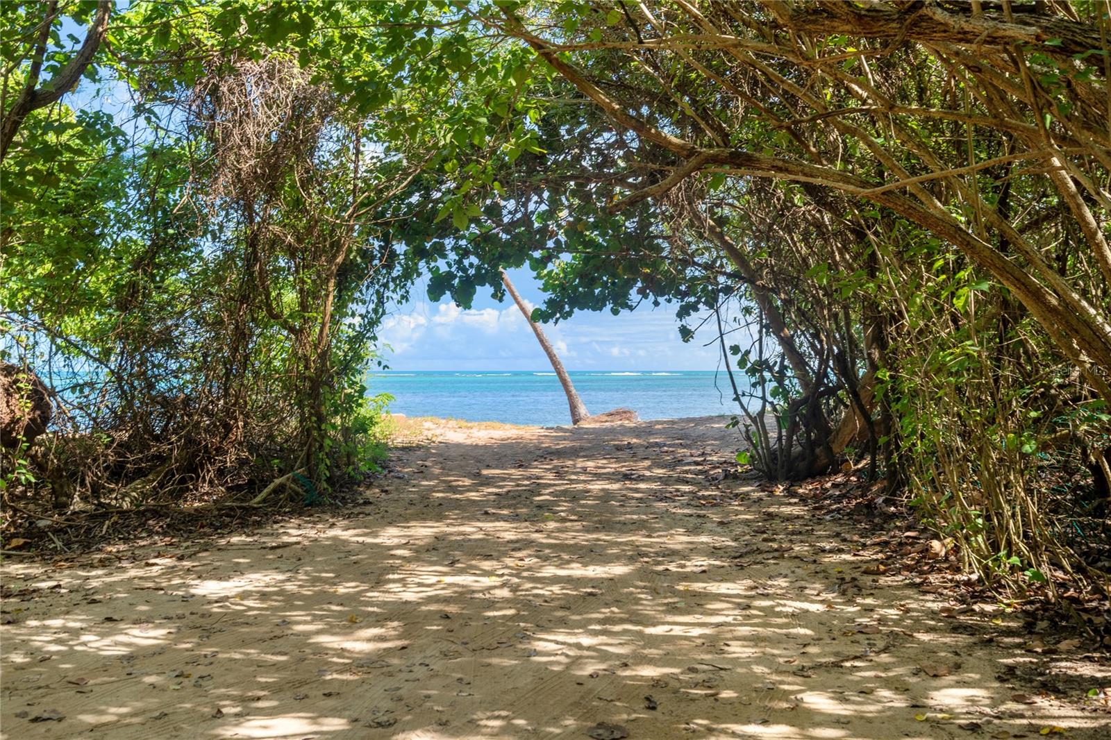 LAS PICUAS - Residential