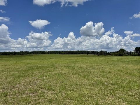 Tiny photo for NW 131 Street, Reddick, FL 32686 (MLS # OM727148)