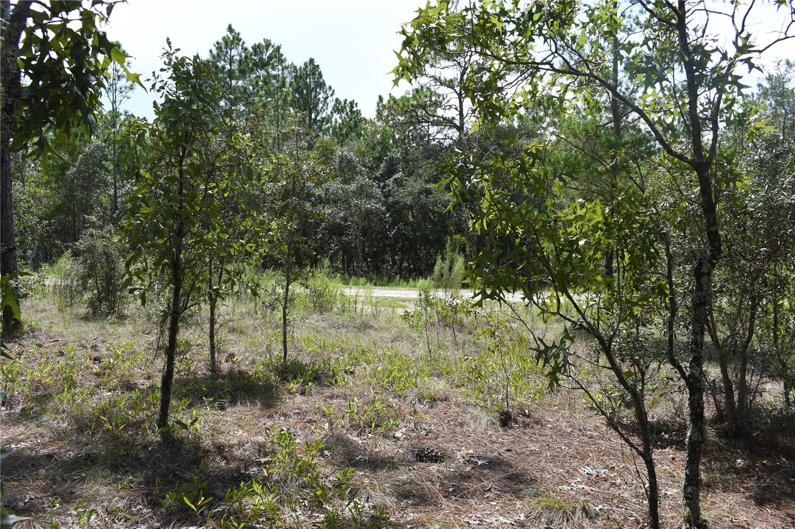 RAINBOW LAKES ESTATE - Land