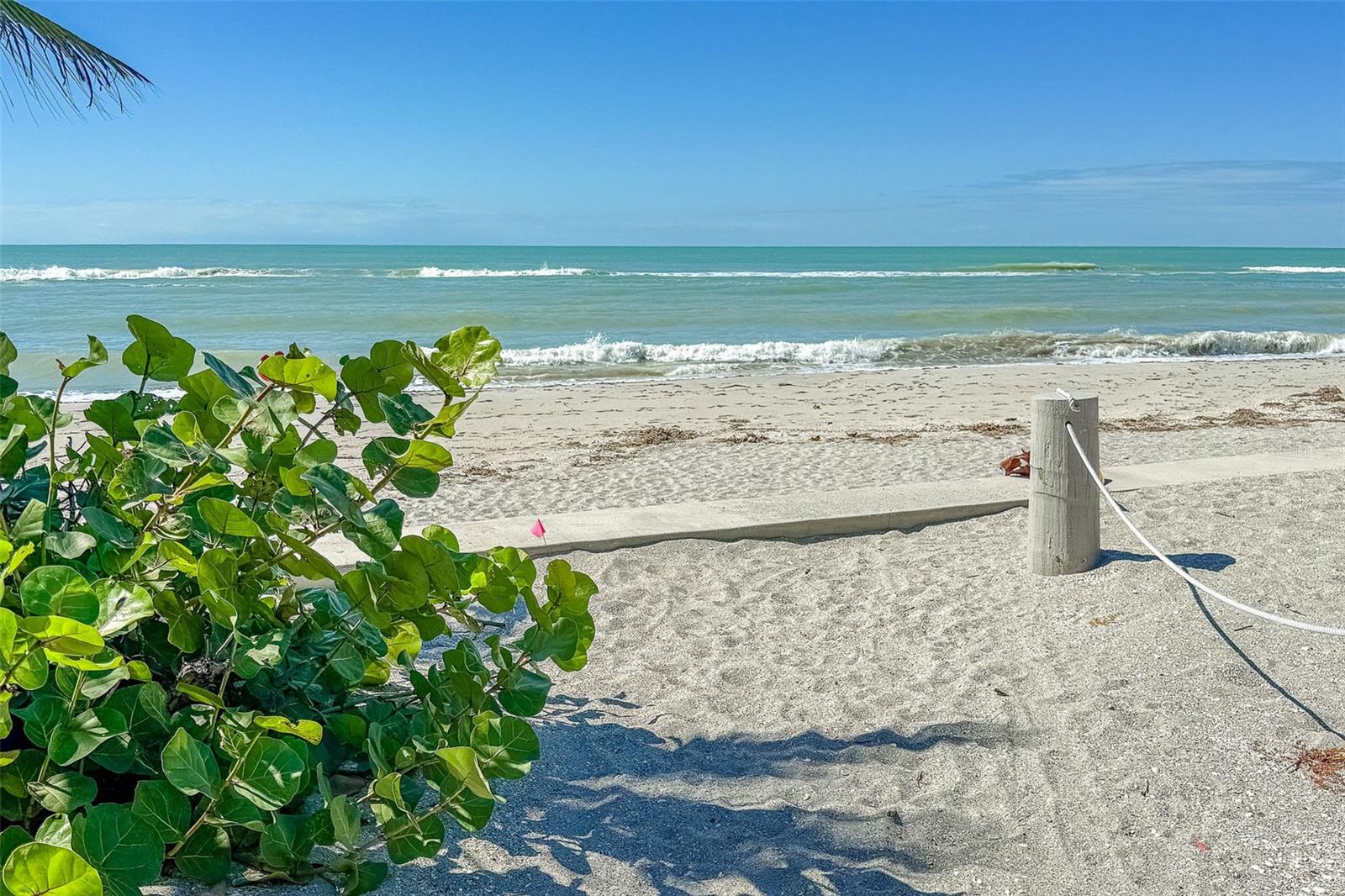 LEMON BAY ESTATES - Residential