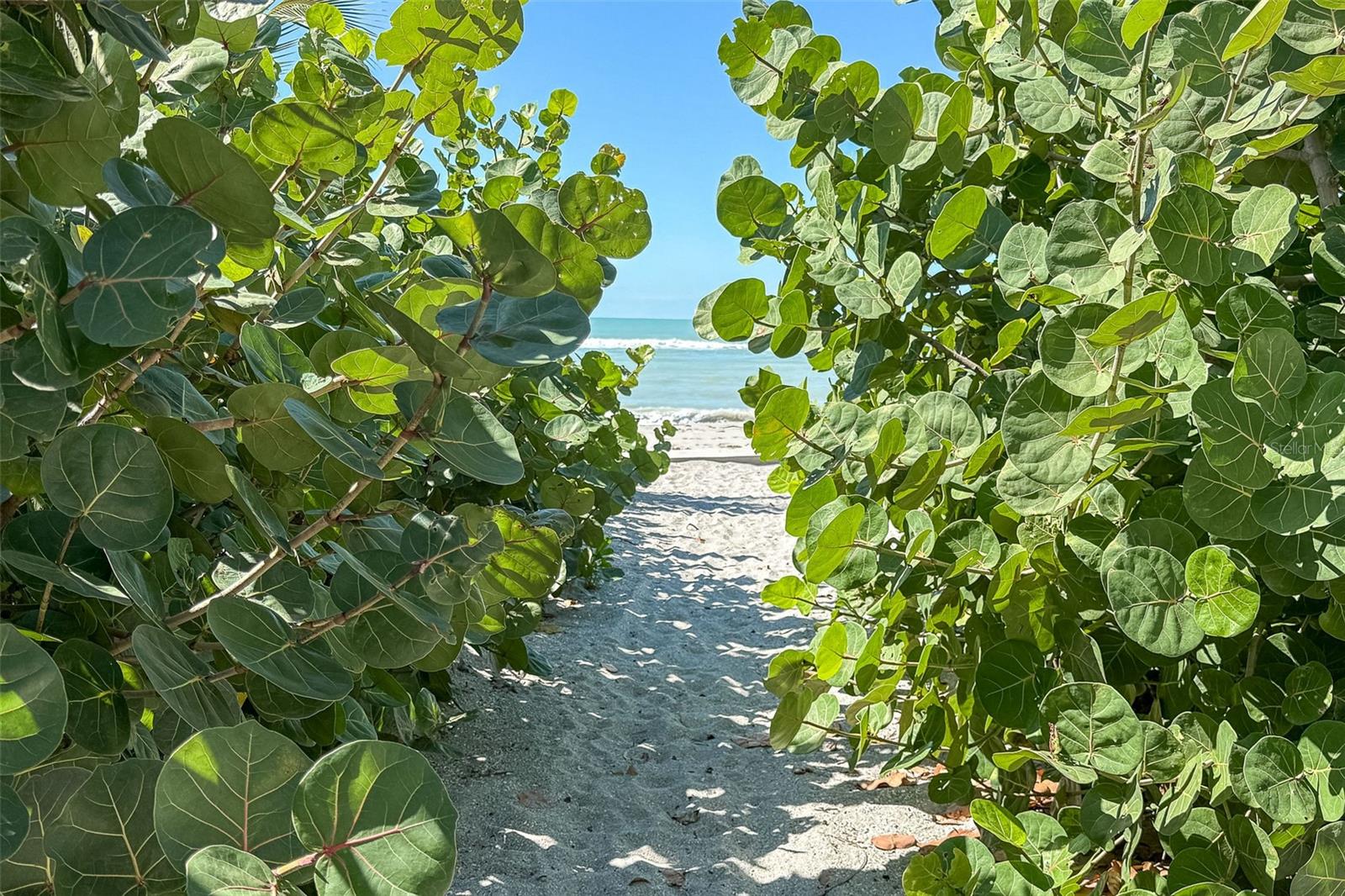 LEMON BAY ESTATES - Residential