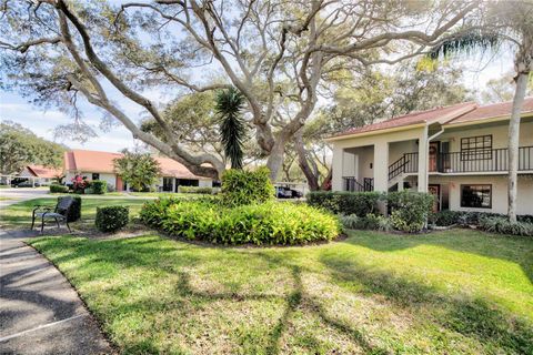 A home in CLEARWATER