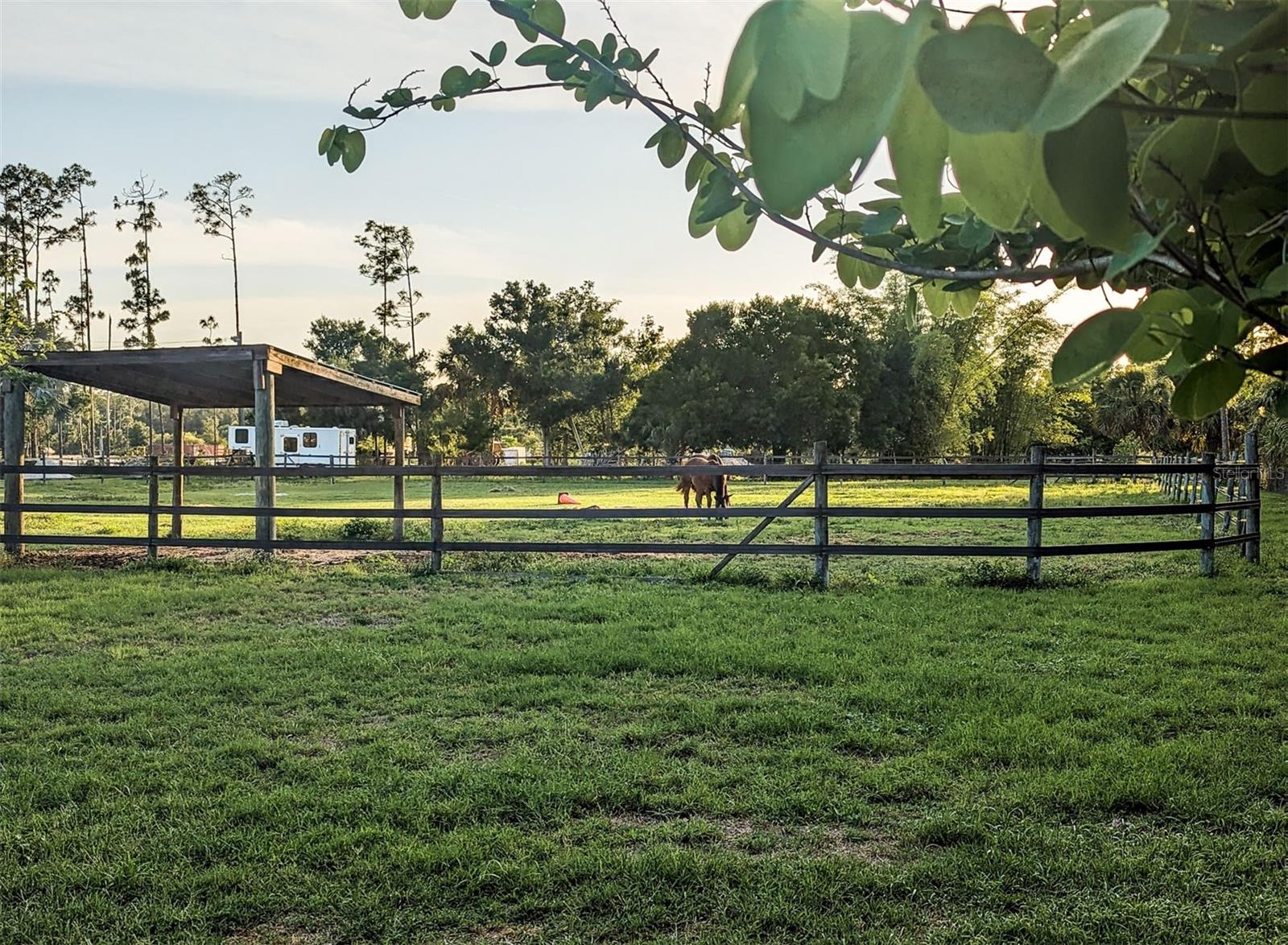 NOT IN SUBDIVISION - Residential