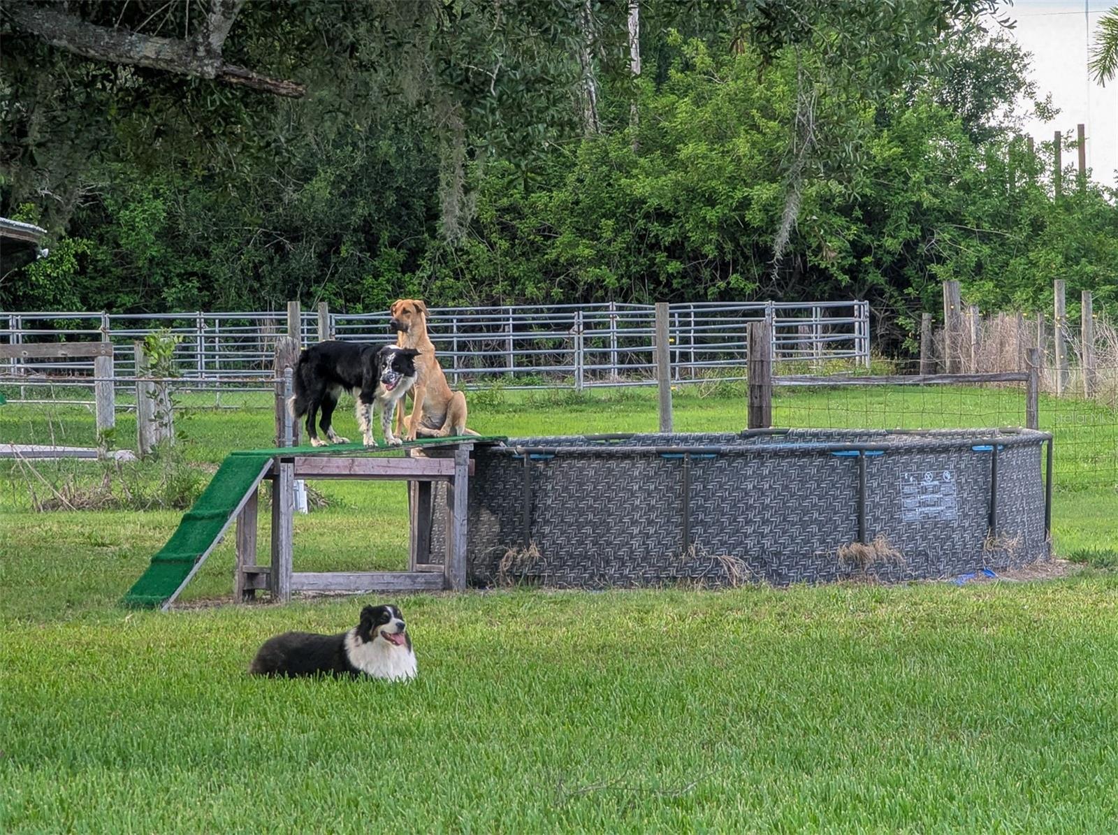 NOT IN SUBDIVISION - Residential