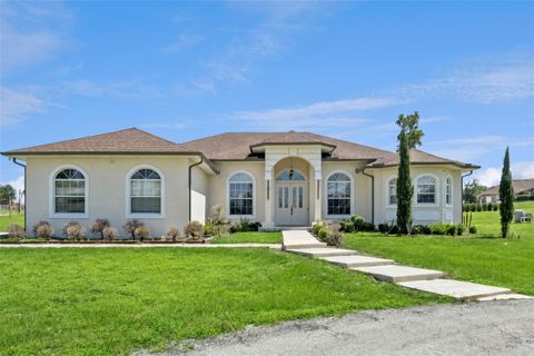 Photo of 9508 Quiet Lane, Winter Garden, FL 34787 (MLS # O6408432)