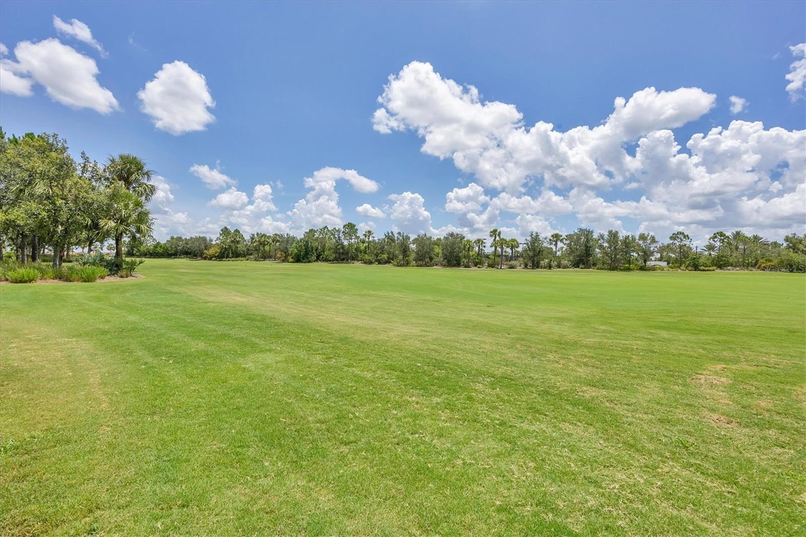 BACCIANO II AT ESPLANADE LAKEWOOD RANCH - Residential Lease