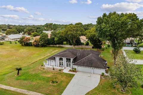 A home in SPRING HILL