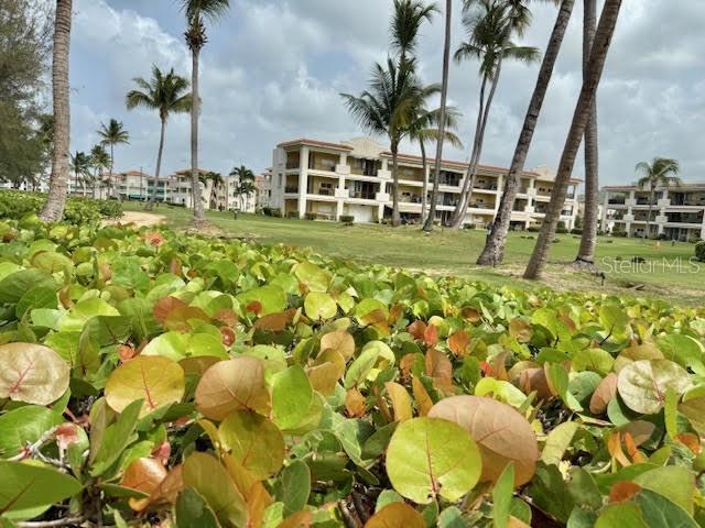 CONTINENTAL  BEACH RESORT - Residential