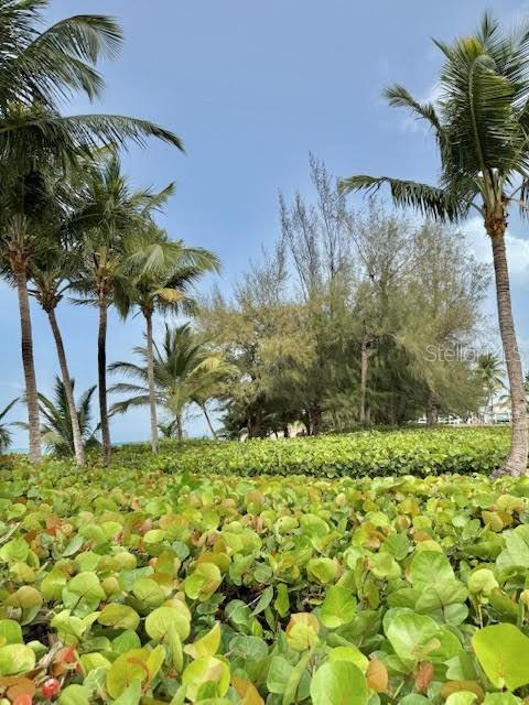 CONTINENTAL  BEACH RESORT - Residential