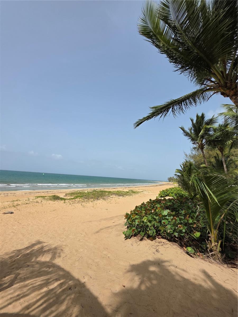 CONTINENTAL  BEACH RESORT - Residential