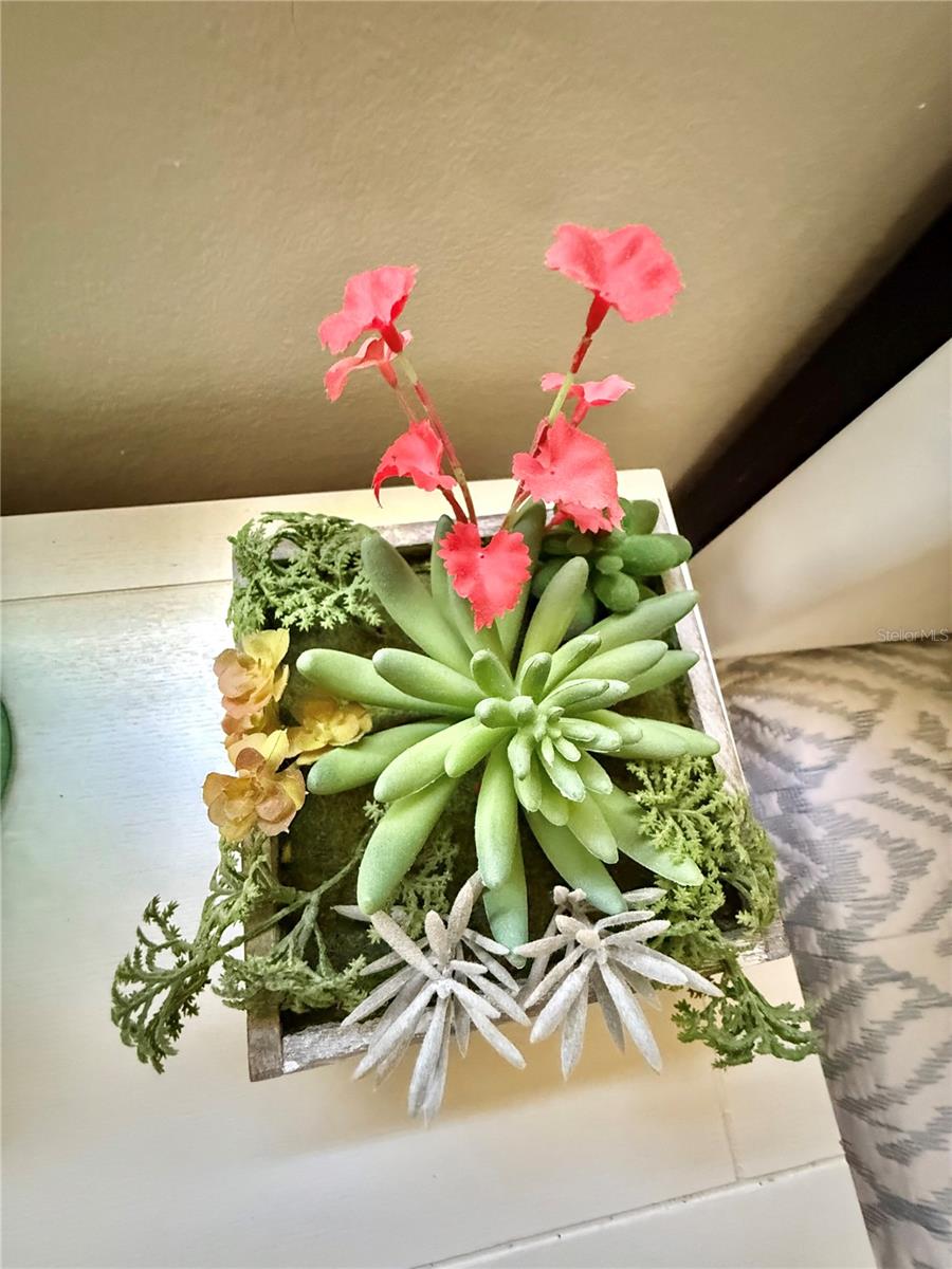 CONTINENTAL  BEACH RESORT - Residential