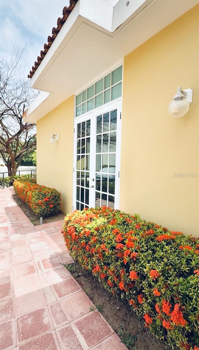 CONTINENTAL  BEACH RESORT - Residential