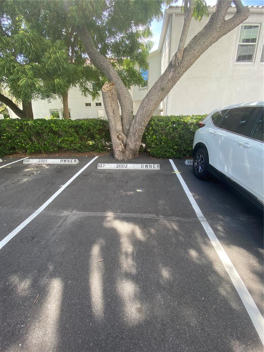 THE PINNACLE APTS A CONDO - Residential Lease