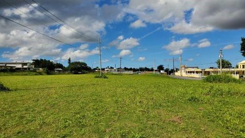 PR-174 SAN AGUSTIN BAYAMON  00959