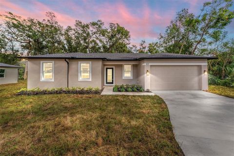 A home in DELAND