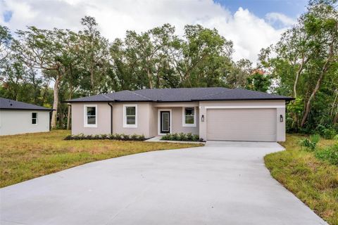 A home in DELAND