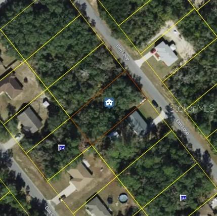 Photo of Elm Loop, Ocala, FL 34470 (MLS # TB8562622)