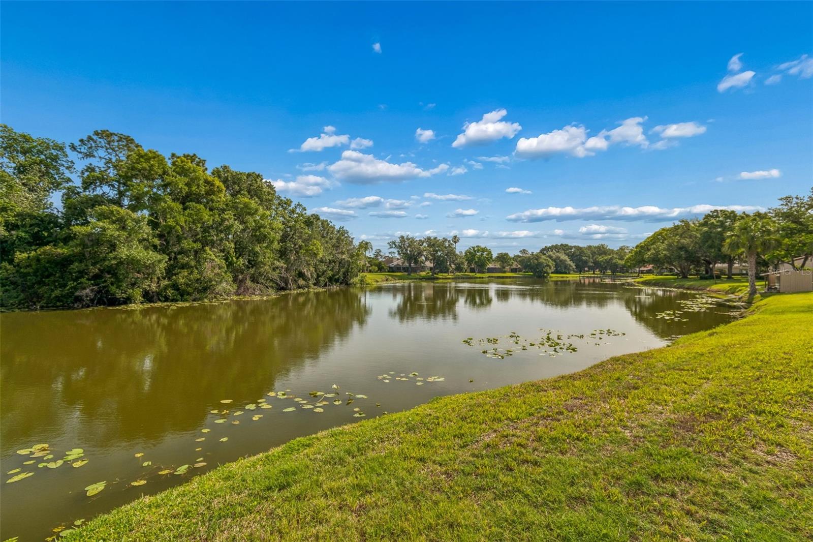 WALDEN LAKE UNIT 13A A REP - Residential