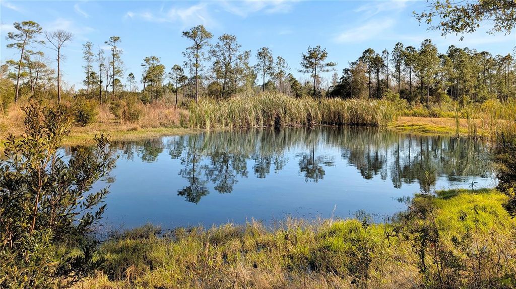 Photo of 23545 Bishop Avenue, Christmas, FL 32709 (MLS # O6369317)