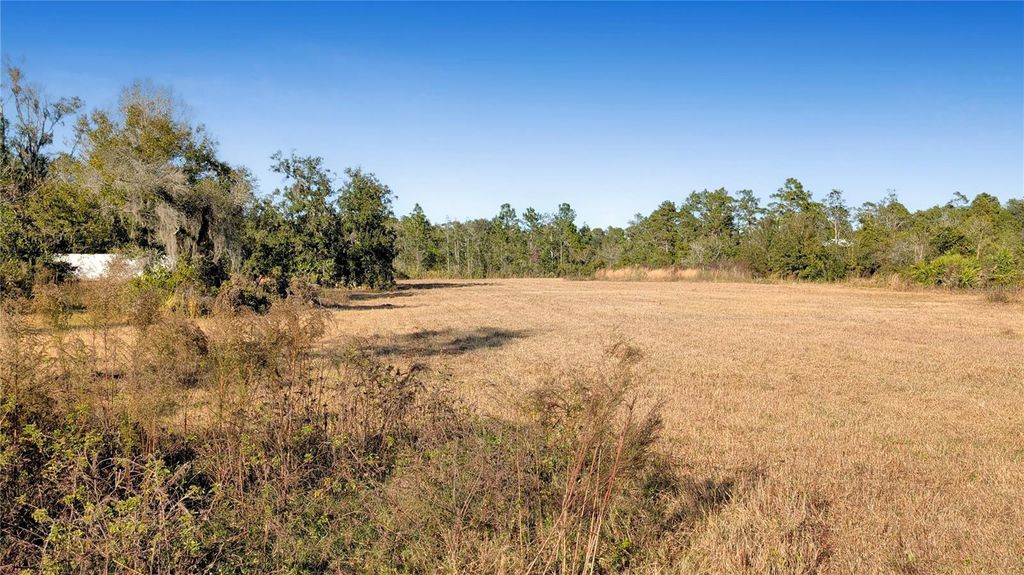 Photo of 23545 Bishop Avenue, Christmas, FL 32709 (MLS # O6369317)