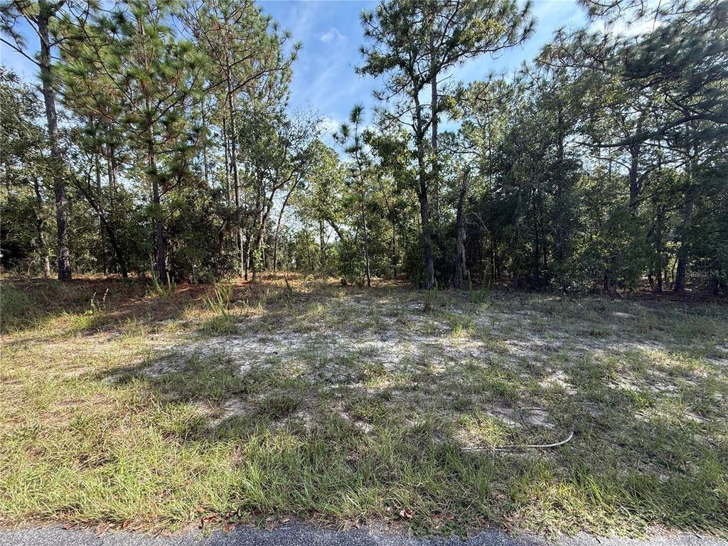 Photo of 9339 N Milam Way, Citrus Springs, FL 34434 (MLS # W7878962)