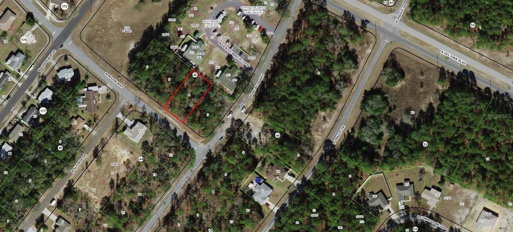 Photo of 9339 N Milam Way, Citrus Springs, FL 34434 (MLS # W7878962)