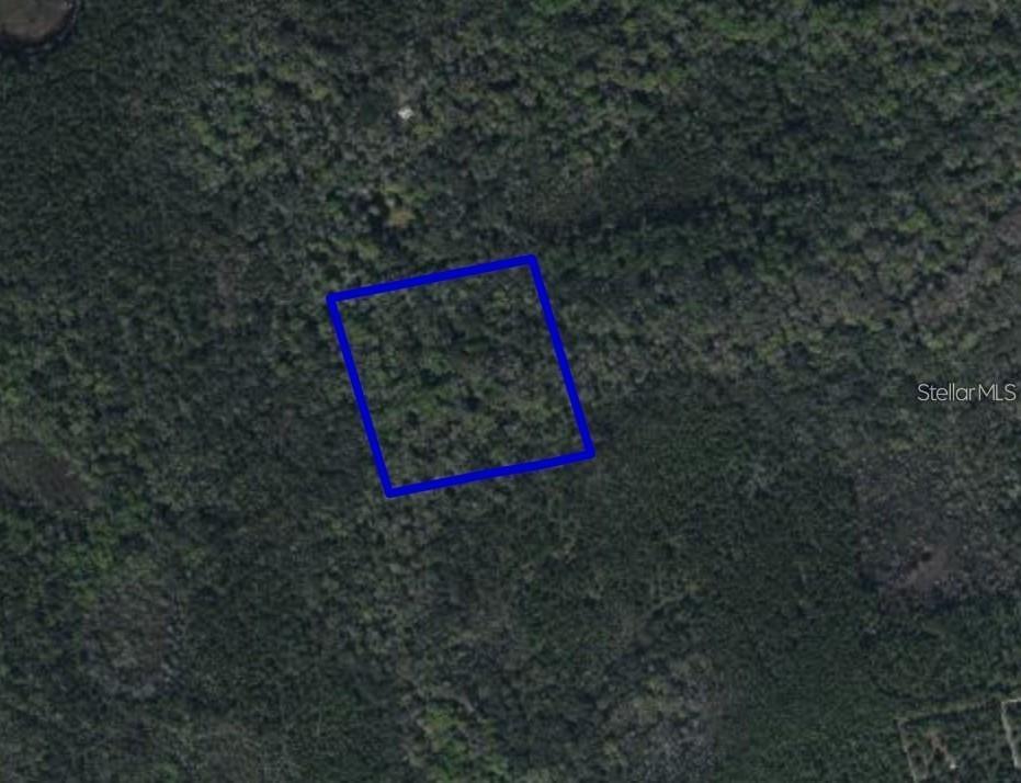 095 PINE NEEDLE ROAD