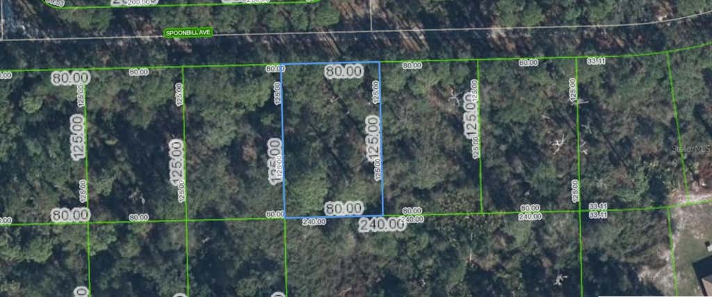 Photo of 3224 Spoonbill Avenue, Lake Placid, FL 33852 (MLS # A4698754)