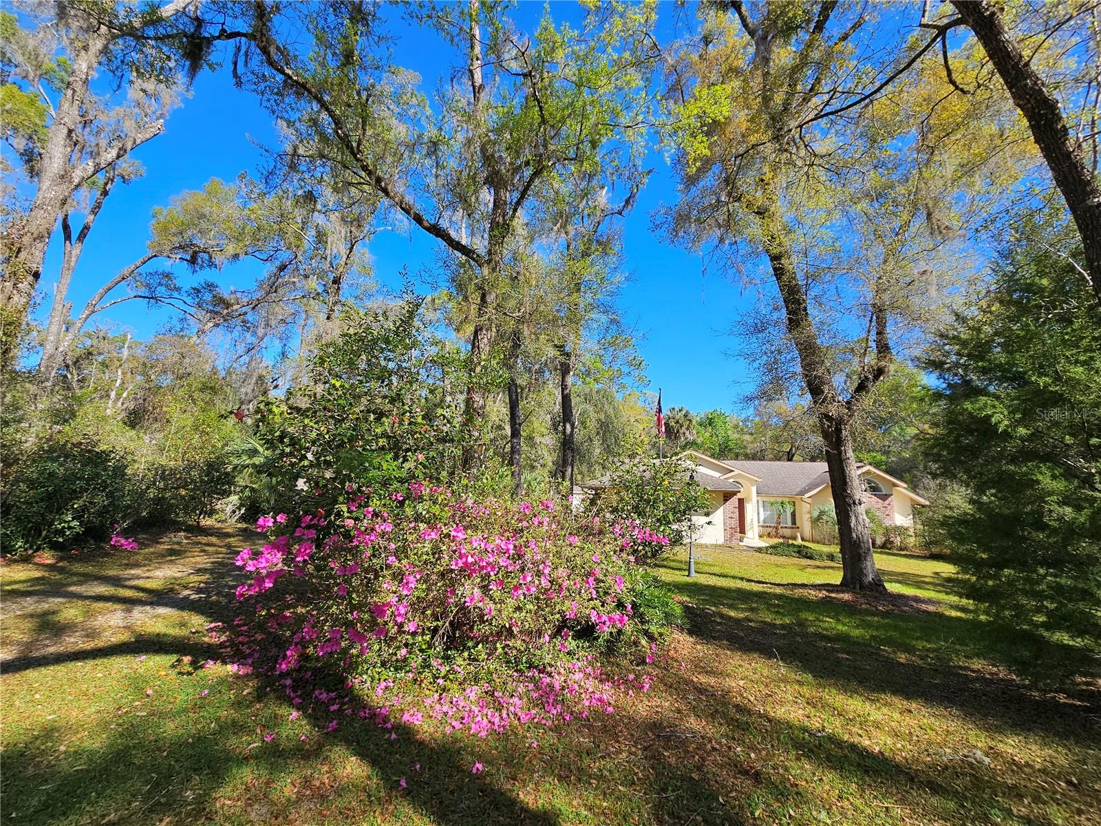 RAINBOW SPGS - Residential