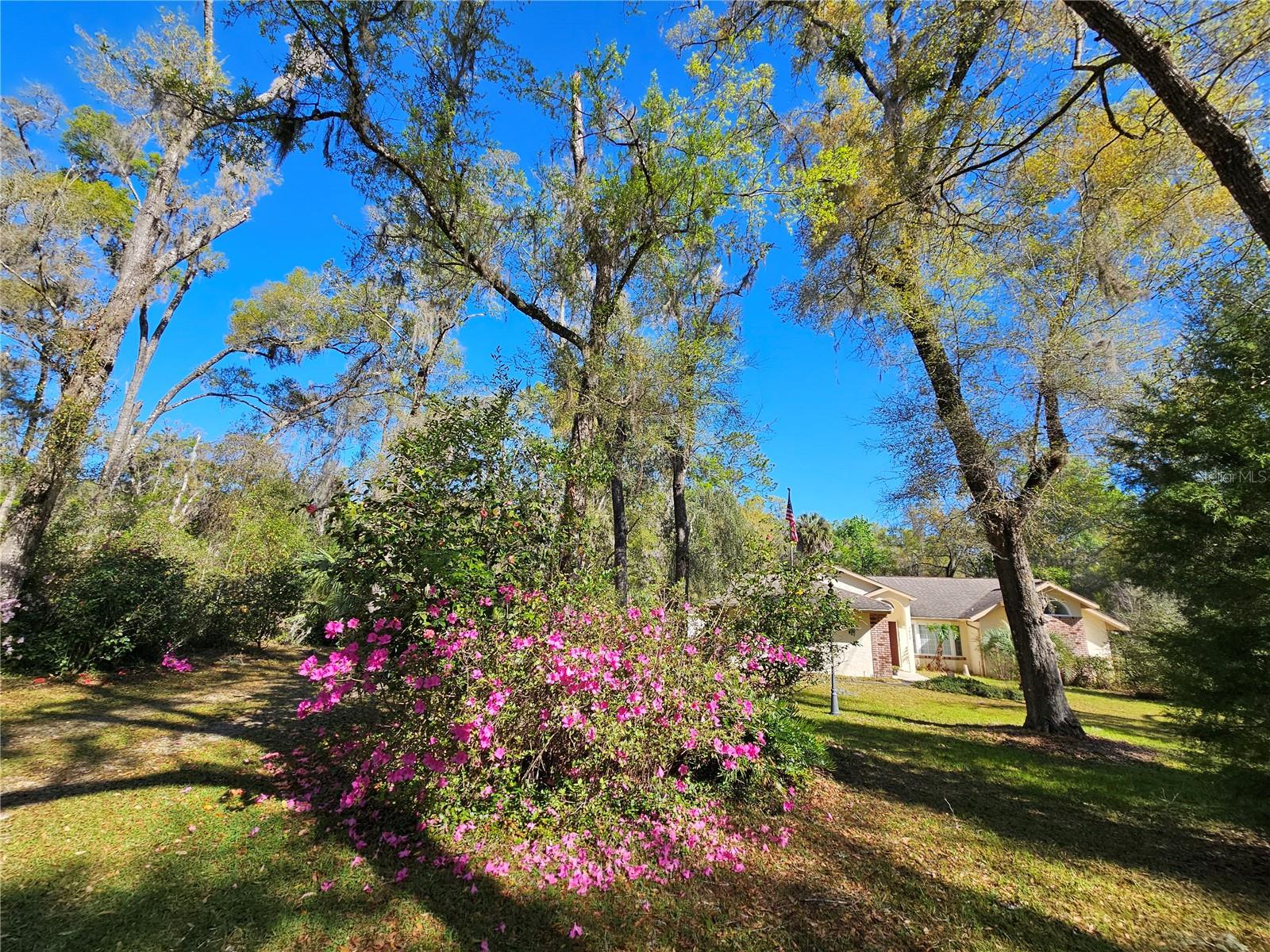 RAINBOW SPGS - Residential