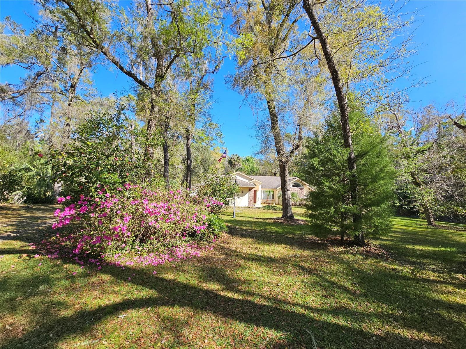 RAINBOW SPGS - Residential