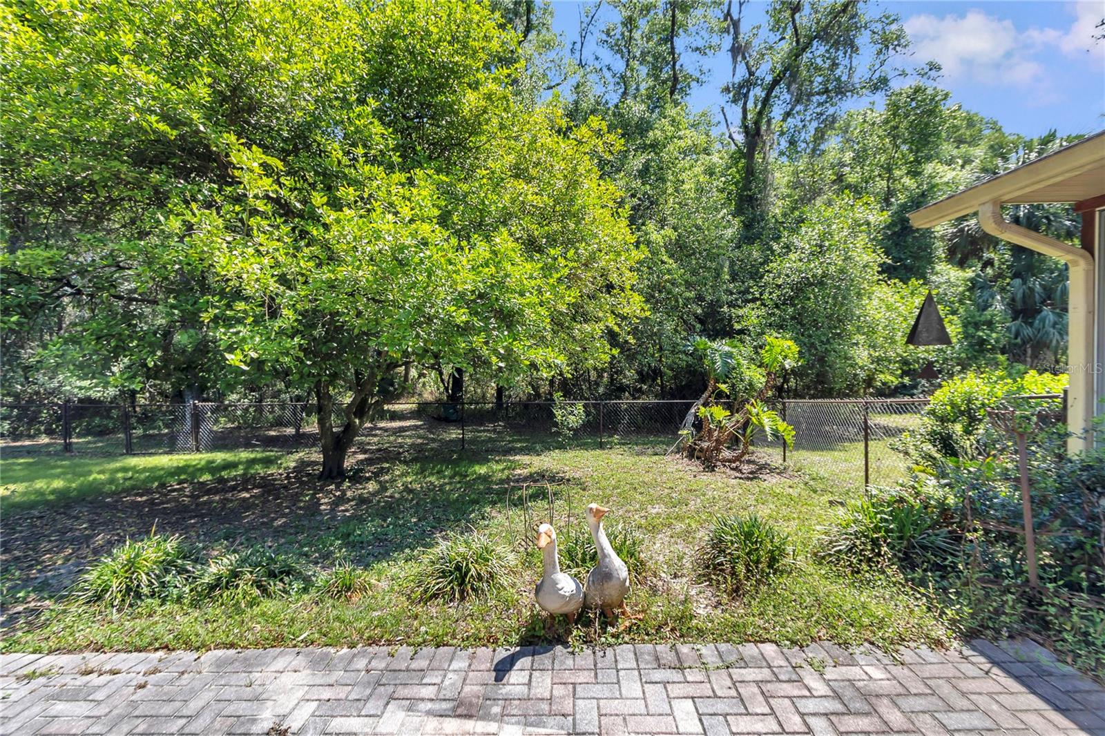 RAINBOW SPGS - Residential