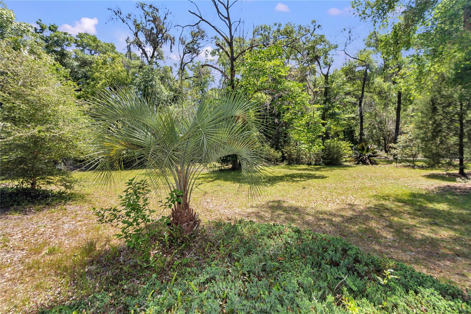 RAINBOW SPGS - Residential