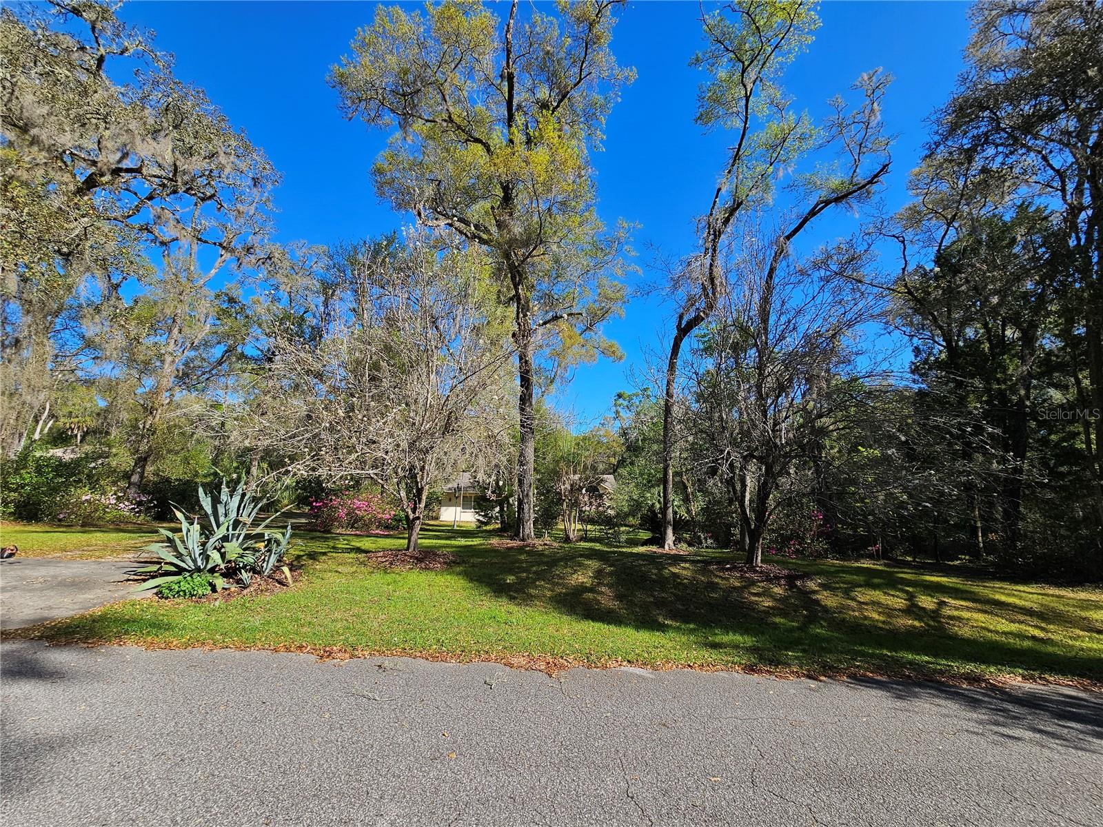 RAINBOW SPGS - Residential