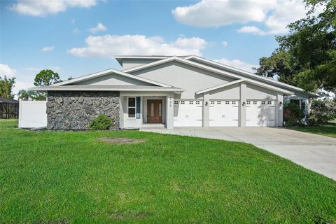 A home in PUNTA GORDA