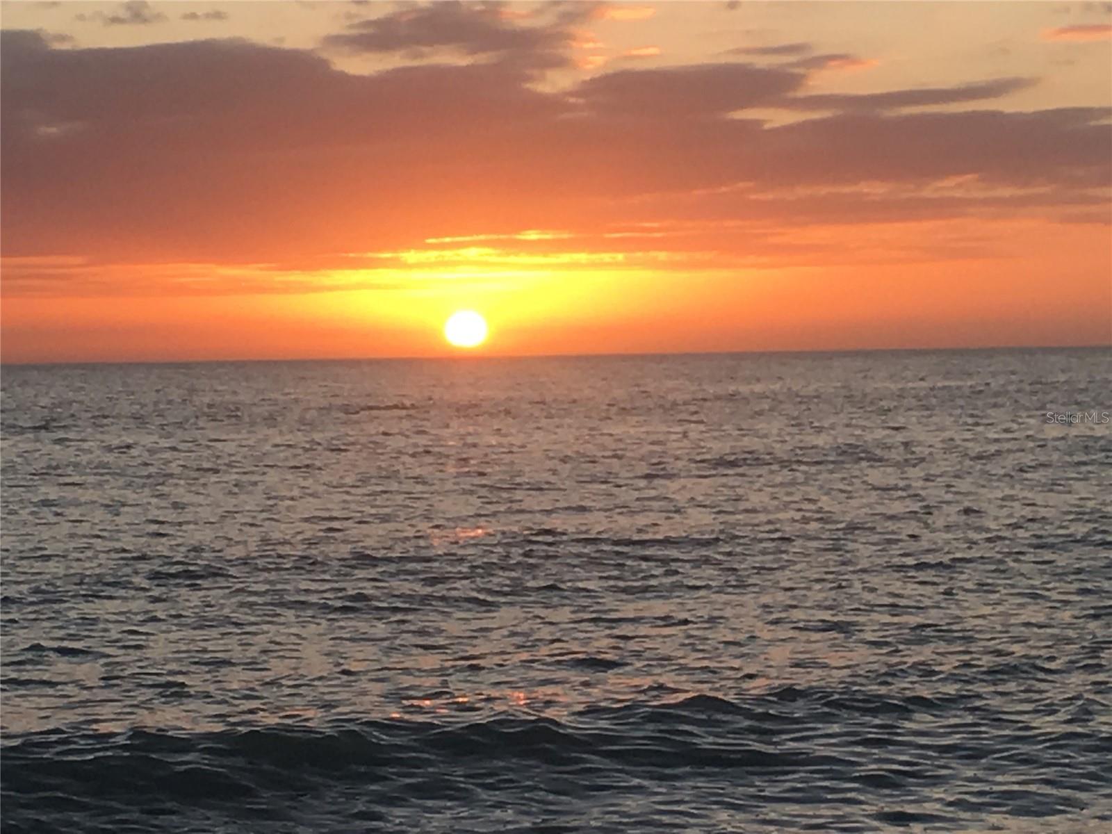 CEDARS WEST OF LONGBOAT INC - Residential