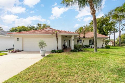 Photo of 10727 Windsor Court, Orlando, FL 32821 (MLS # O6390935)