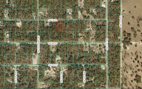 TBD SW 78 DUNNELLON FL 34432