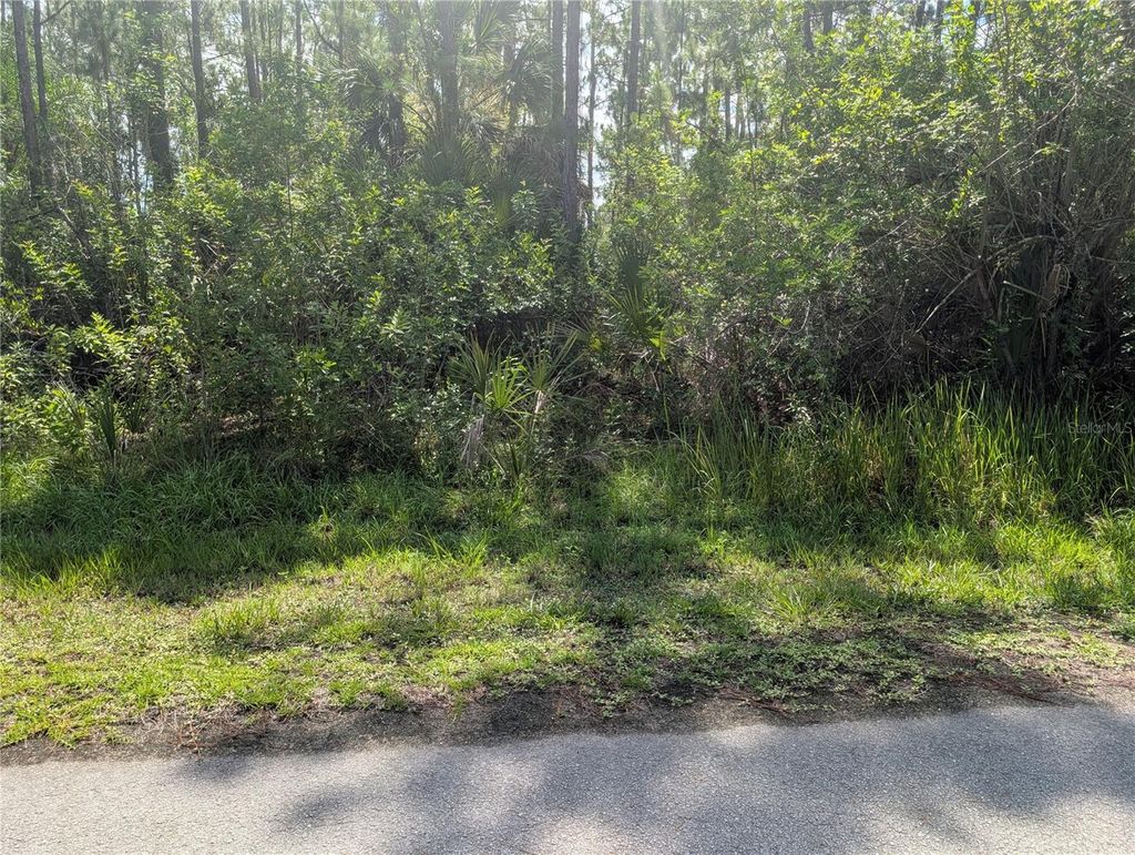 Photo of 28 Amaryllis Drive, Indian Lake Estates, FL 33855 (MLS # P4939236)