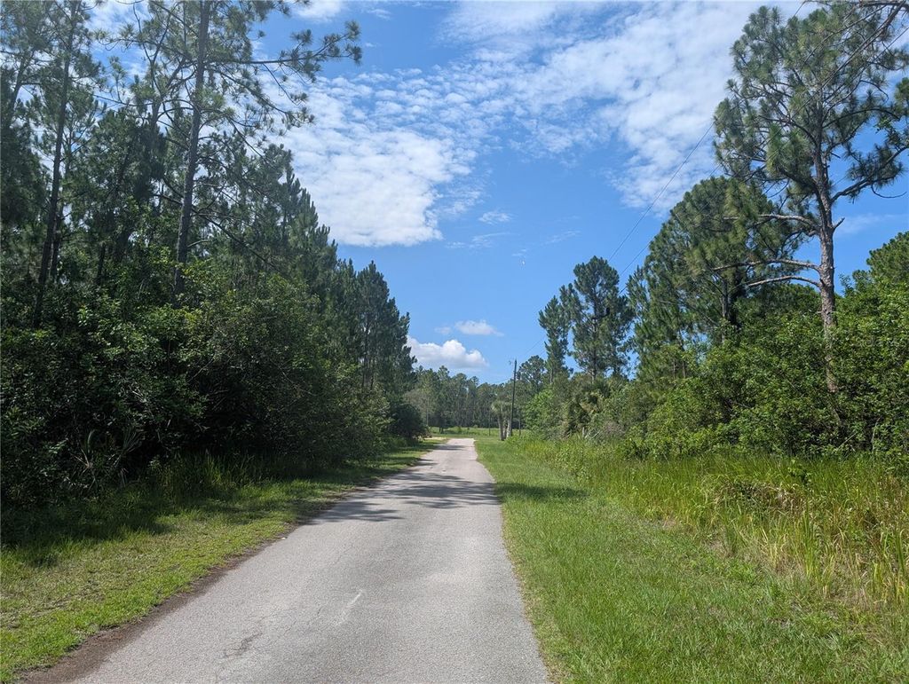 Photo of 28 Amaryllis Drive, Indian Lake Estates, FL 33855 (MLS # P4939236)