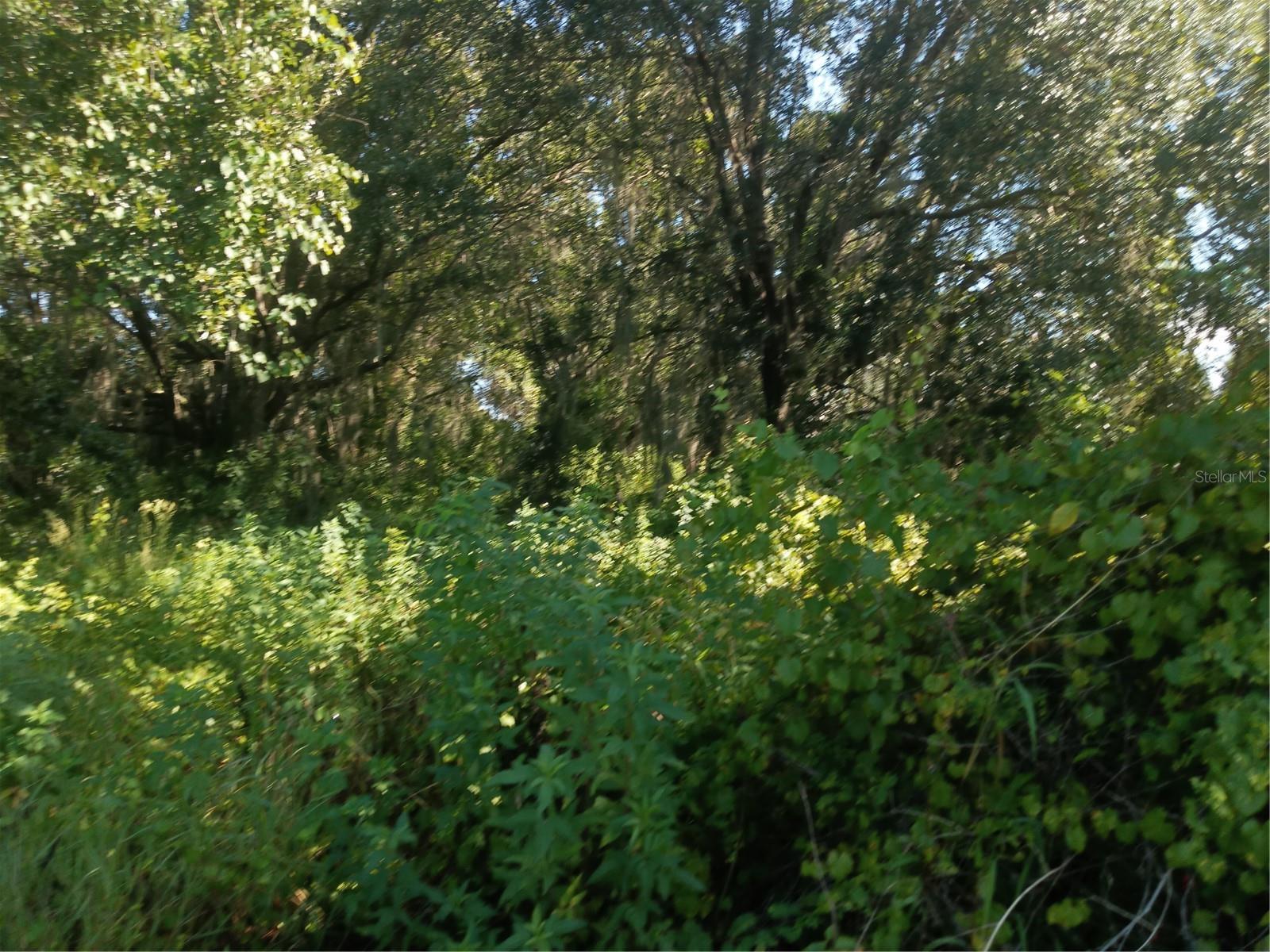 POSTAL COLONY 26-23-25 - Land